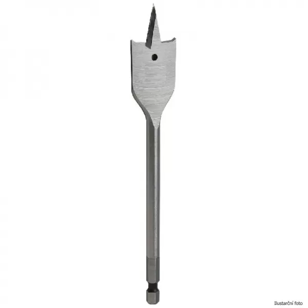 Vrták do dřeva plochý 10x160mm DeWALT DT4810