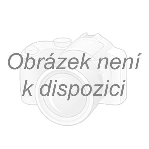 Nabíječka DeWALT FLEXVOLT DCB117